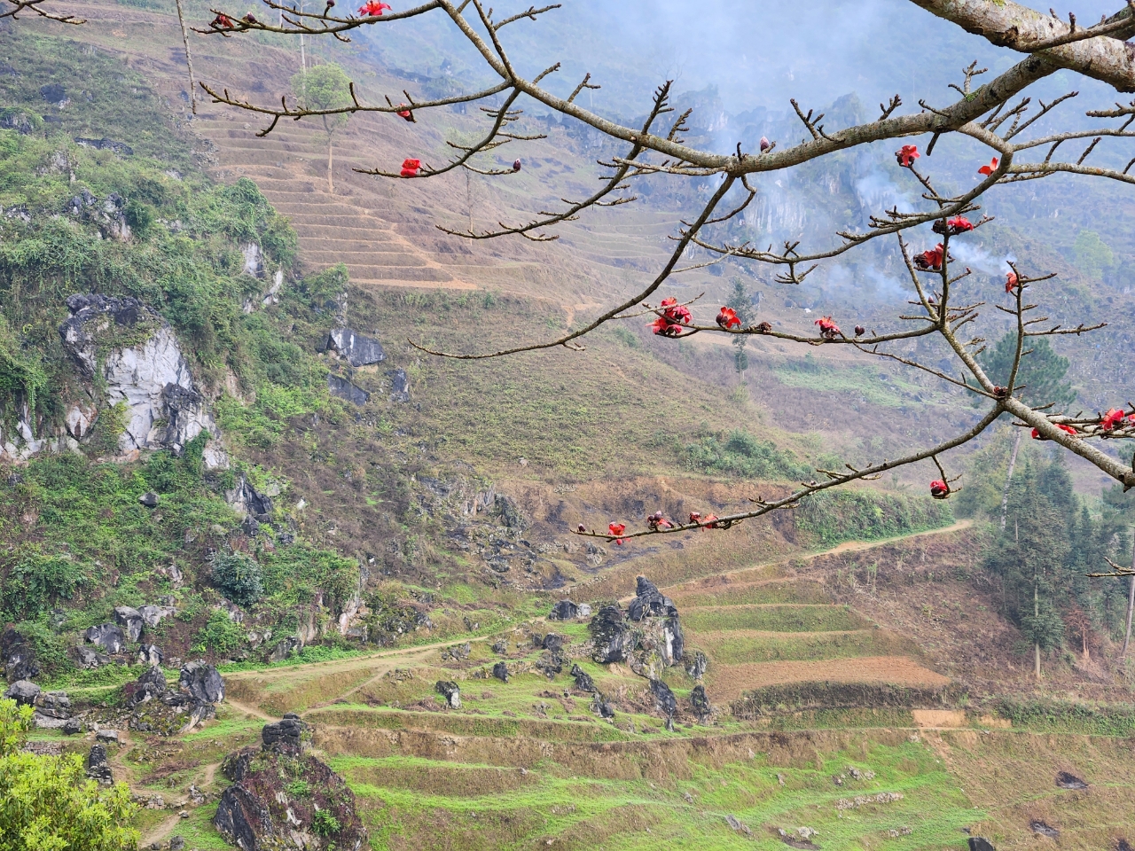 Hiking Ha Giang One Day Tour